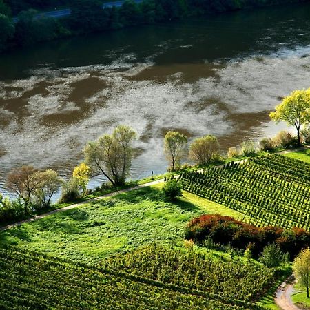 Apartmán Weingut Helmut Barzen Zell an der Mosel Exteriér fotografie